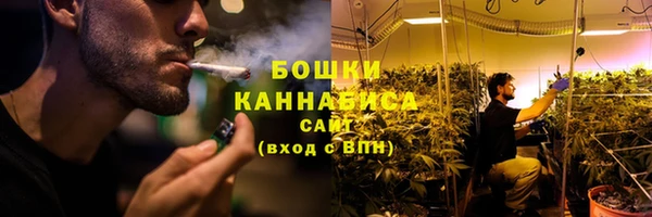 шишки Вязьма