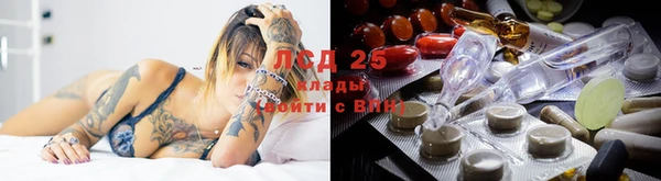 шишки Вязьма