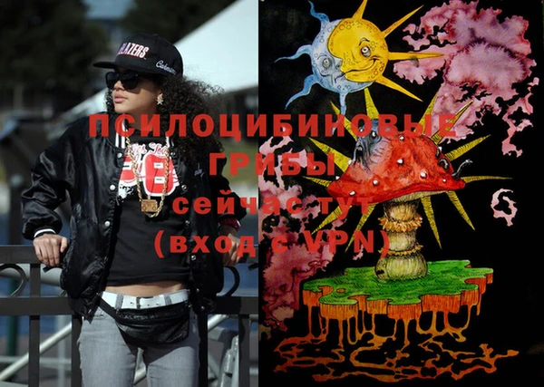 шишки Вязьма